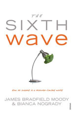 The Sixth Wave : How to Succeed in a Resource-Limited World - James Bradfield Moody