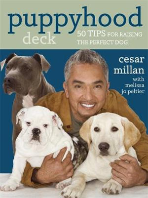 how to choose the perfect dog essay how to choose the perfect dog essay