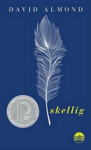 skellig novel skellig novel