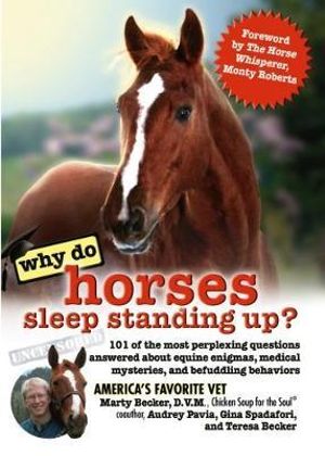 booktopia why do horses sleep standing up 101 of the most perplexing questions answered booktopia why do horses sleep standing up 101 of the most perplexing questions answered