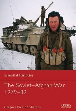 Buy essay soviet afghan war