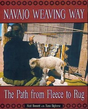 Navajo Weaving Way Noel Bennett