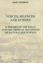 Silences critical essays 08 picture