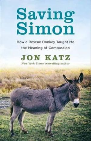 Cover of Saving Simon