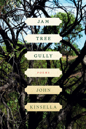 Cover of Jam Tree Gully