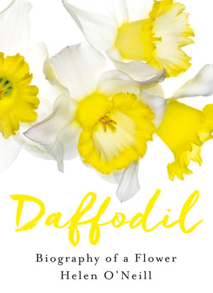 Cover of Daffodil