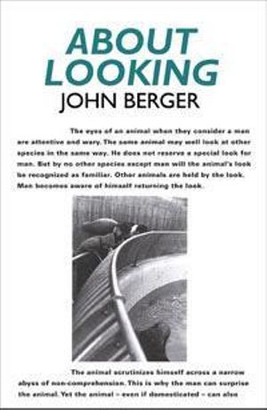 Cover of About Looking