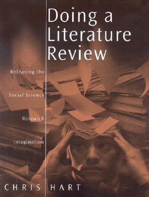 literature review writing support