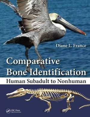 Cover of Comparative Bone Identification