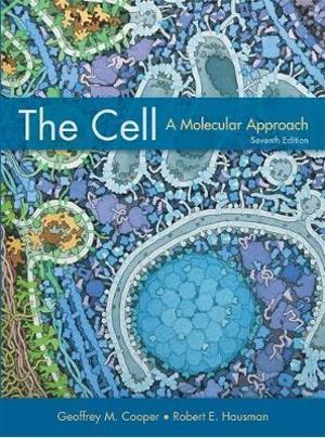 Cover of The Cell